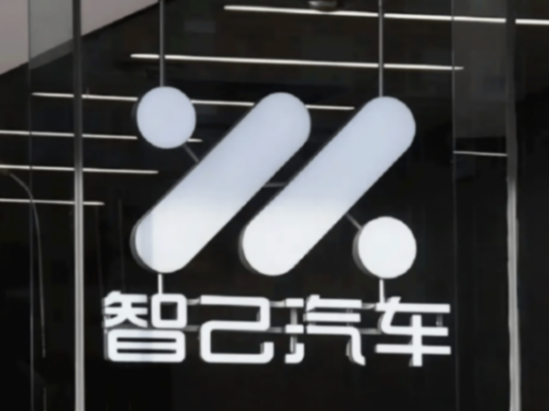 11月新勢力車企銷量出爐!沒想到,零跑居然干到了單品牌第一